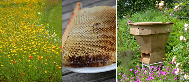 Honing uit eigen tuin